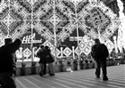 dailyPhoto7